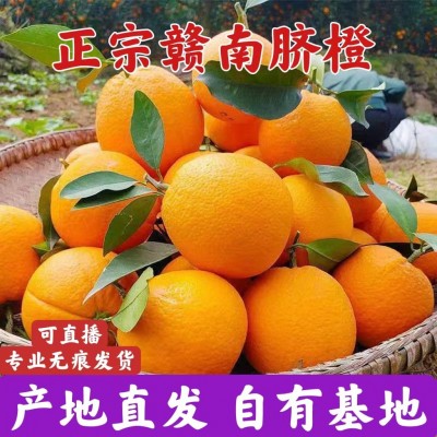 【果园直供】正宗赣南脐橙现摘现发新鲜水果皮薄香甜橙子一件代发图2
