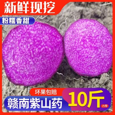2023新鲜紫山药紫心紫皮现挖现发原产地发货5斤10斤支持一件代发图2