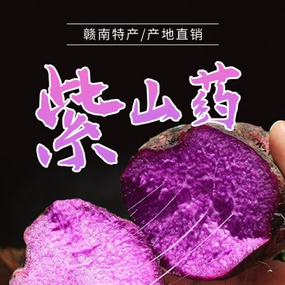 2023新鲜紫山药紫心紫皮现挖现发原产地发货5斤10斤支持一件代发图3