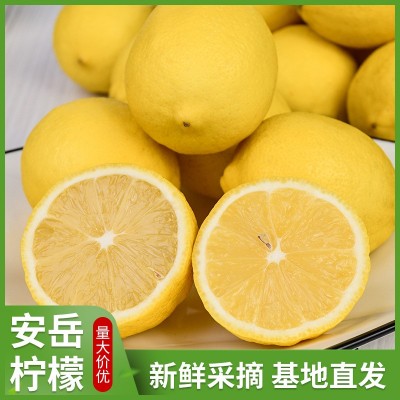 安岳黄柠檬产地直供新鲜水果整箱批发薄皮一级奶茶酒店专用图2