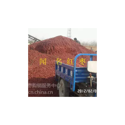 山东哪里可以批发到优质饲料枣图4