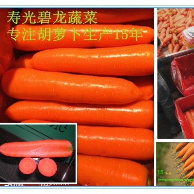 山东寿光蔬菜加工供应出口新鲜胡萝卜白萝卜大白菜甘蓝西芹