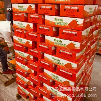 山东寿光蔬菜加工供应出口新鲜胡萝卜白萝卜大白菜甘蓝西芹图3