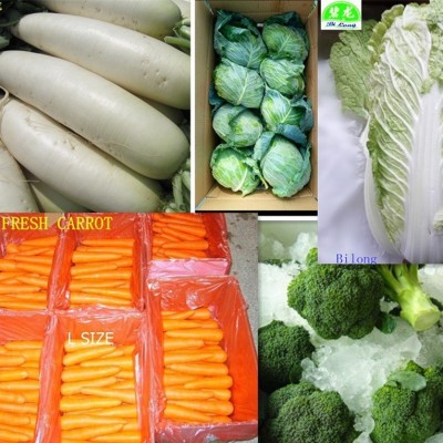 大量供应中国应季保鲜蔬菜大白菜包菜甘蓝高丽菜出口品质价格优惠图4