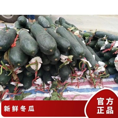 吨 一级 阴凉通风处 蔬菜运输筐 不合格率≤0.1% 新鲜冬瓜图2