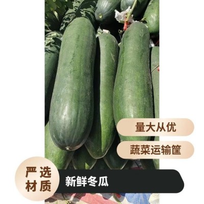 吨 一级 阴凉通风处 蔬菜运输筐 不合格率≤0.1% 新鲜冬瓜