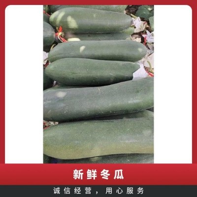 吨 一级 阴凉通风处 蔬菜运输筐 不合格率≤0.1% 新鲜冬瓜图4