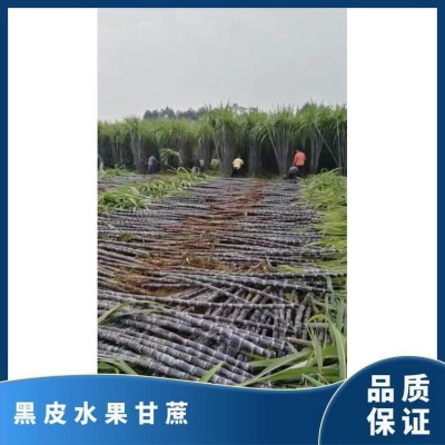 展宏农业黑皮水果甘蔗 六到八斤好货结巴好颜色漂亮图3
