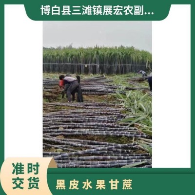 展宏农业黑皮水果甘蔗 六到八斤好货结巴好颜色漂亮图5