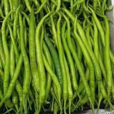 现摘新鲜青辣椒 蔬菜二荆条海椒 可做剁椒酱泡椒 现货出售图4