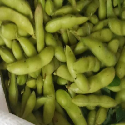 农家自种盐水毛豆 现摘青大豆当季蔬菜 小刘农产品现货图3