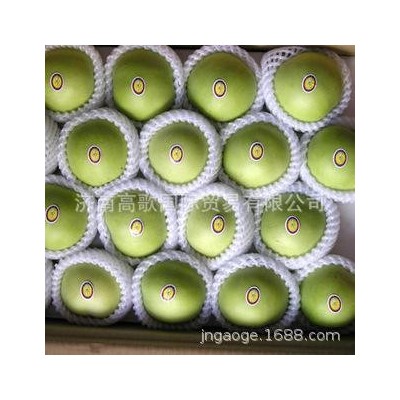 绿宝石梨pear，早酥梨，常年供应绿宝石梨 欢迎大家来选购图3
