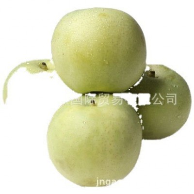 绿宝石梨pear，早酥梨，常年供应绿宝石梨 欢迎大家来选购图5