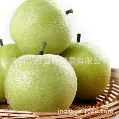 绿宝石梨pear，早酥梨，常年供应绿宝石梨 欢迎大家来选购图2