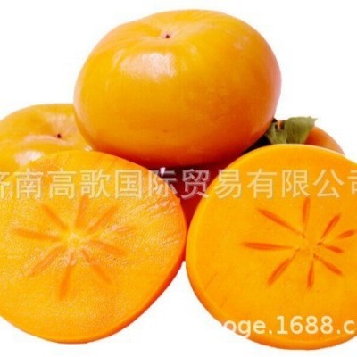 应季新鲜水果 脆柿子 出口 现摘新鲜脆柿子 欢迎大量选购图3