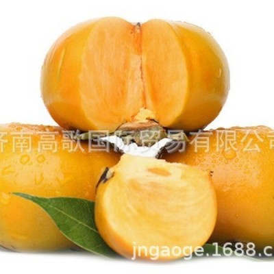应季新鲜水果 脆柿子 出口 现摘新鲜脆柿子 欢迎大量选购图4