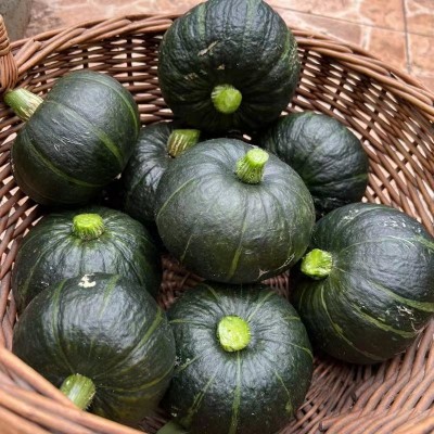 贝贝小南瓜新鲜软糯甜宝宝辅食南瓜早餐瓜果蔬菜图2
