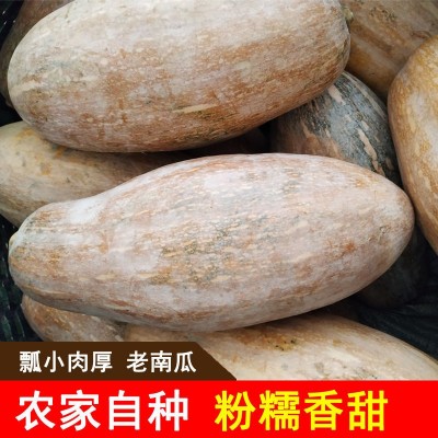 【坏包赔】老南瓜新鲜农家蔬菜甜糯黄皮现摘老品宝宝辅食非小贝贝图2