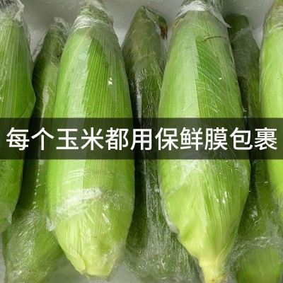 新鲜甜玉米广西应季现摘现发嫩玉米棒爆浆脆甜多汁带壳发货图3