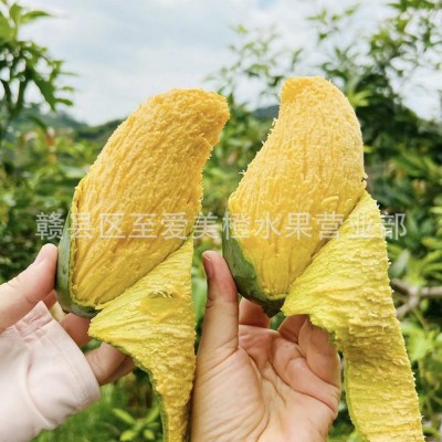 爆甜广西桂七芒新鲜当季孕妇水果纯甜青皮大青芒甜心芒果整箱图4