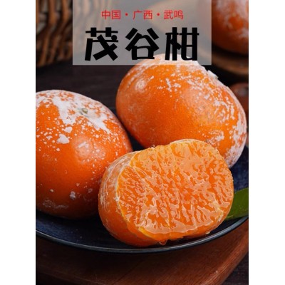茂谷柑9斤大果图3