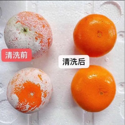 茂谷柑9斤大果图2