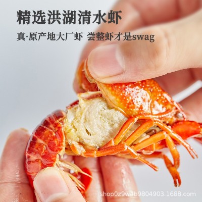 2024年新虾上市洪湖渔家麻辣小龙虾鲜活十三香蒜蓉750g3-5钱冻货图5