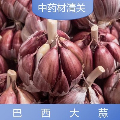 亿九合 巴西大蒜 清关服务全国范围专业团队 周到服务图3
