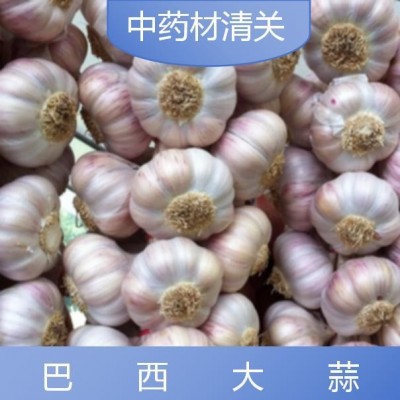 亿九合 巴西大蒜 清关服务全国范围专业团队 周到服务