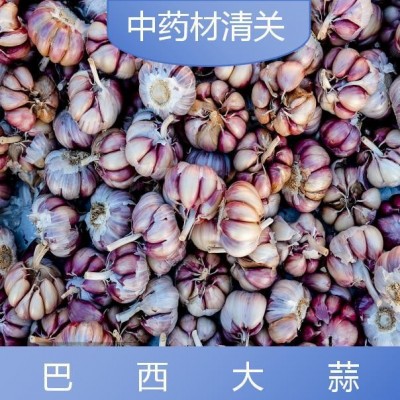亿九合 巴西大蒜 清关服务全国范围专业团队 周到服务图2