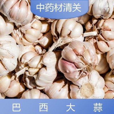 亿九合 巴西大蒜 清关服务全国范围专业团队 周到服务图4