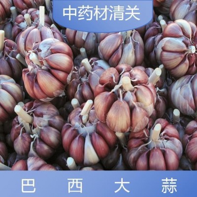 亿九合 巴西大蒜 清关服务全国范围专业团队 周到服务图5