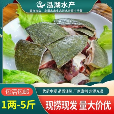 泓湖 品质有保障 生态水产甲鱼 抗病能力强 味道鲜美图5