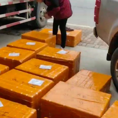 6-9两温室甲鱼批发 卤甲鱼原料供应 泓湖合作社甲鱼养殖厂家直供图3