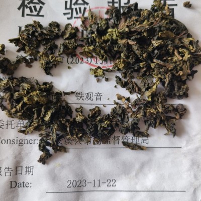 厂家直销 茶园到茶杯浓香型安溪铁观音茶叶批发 自有茶园 可预订图4