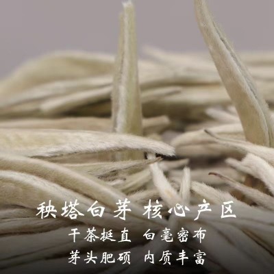 2024年云南景谷白茶秧塔核心茶区百毫银针全芽头特级茶叶批发图1