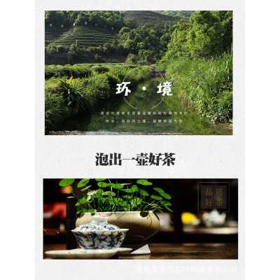 2023白芽奇兰绿茶高山茶叶平和浓香型乌龙茶新茶批发代发图3