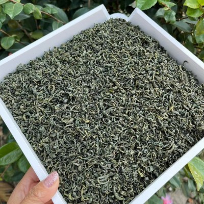 2024新茶高山云雾炒青绿茶 松阳香茶 浓香耐泡 炒青绿茶 厂家直销图3