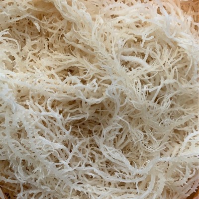 龙须菜批发海石花夏季凉拌菜新鲜潮货鹿角菜麒麟菜原货图3