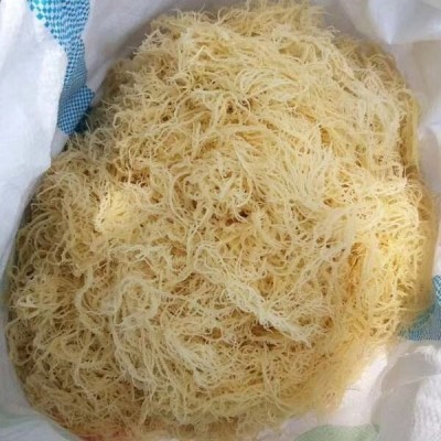 龙须菜海石花菜半干鹿角菜夏季凉拌菜卤菜店地摊