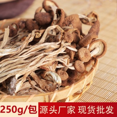 正胜茶树菇干货福建农场品煲汤菌菇250g 厂家现货批发 菌菇干货图2