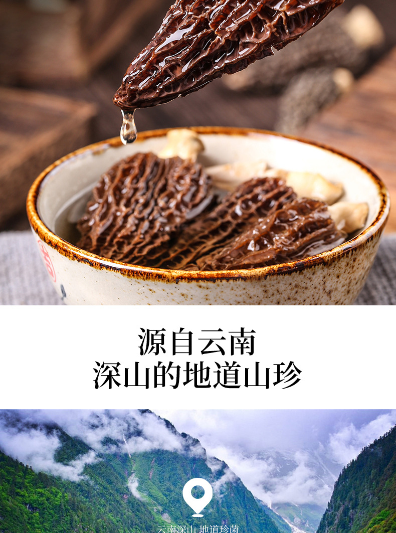 羊肚菌_04