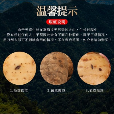 新鲜天麻礼盒 昭通小草坝天麻 生天麻煲汤 抖音快手代供 批发代理图4