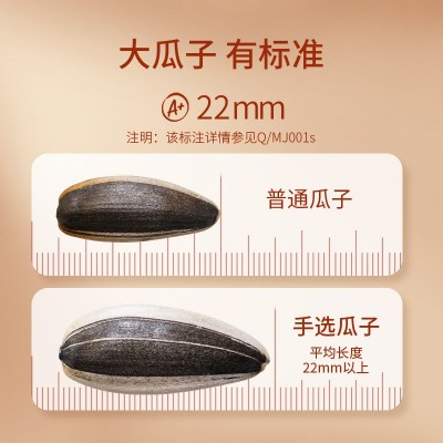 A+当季新货内蒙河套特产葵花籽厂家散装批发坚果炒货休闲零葵瓜子图2