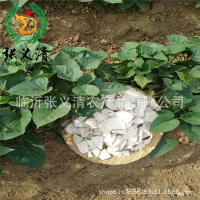山东农家地瓜片厂家批发红薯片红皮白心番薯片生红薯干芋头片图3