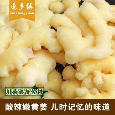 泡姜 保鲜姜 鲜嫩可口 遂乡缘腌制泡菜 下饭菜泡姜 生姜图4