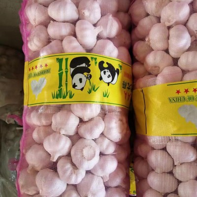 山东农家紫皮干garlic 现挖湿蒜基地直发保鲜大蒜白皮新鲜 garlic图2