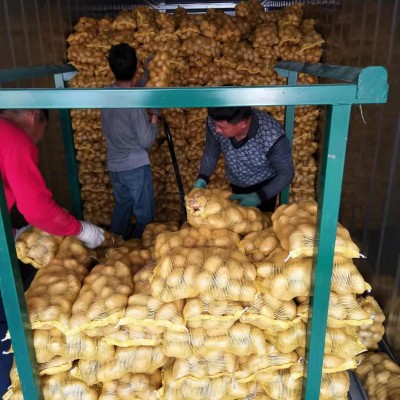 源头厂家基地批发直供新鲜土豆 食用甜糯蔬菜土豆图3