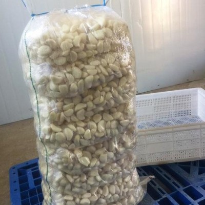蒜米新鲜大蒜头去皮扒皮干蒜蒜子四六瓣手工剥好的商用蒜瓣剥皮蒜图3