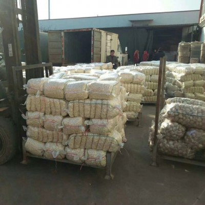 蒜米 山东批发保鲜蒜米 工厂直供饭店原产地发货即做即发 大蒜米图4